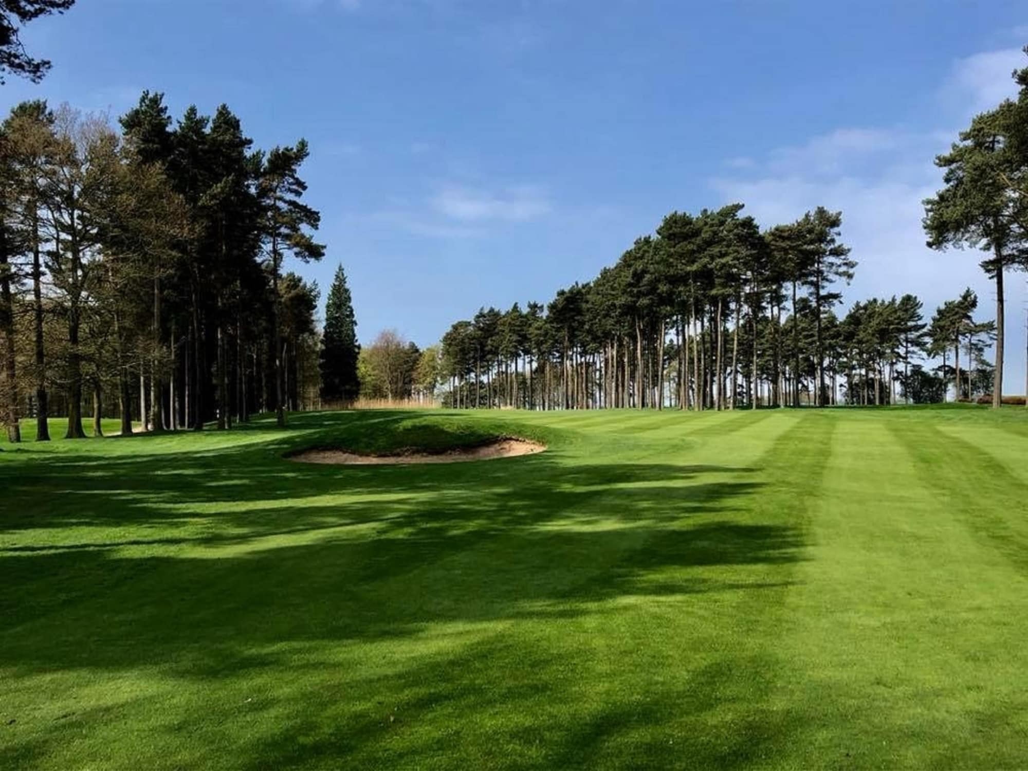Hotel Forest Pines Hotel, & Golf