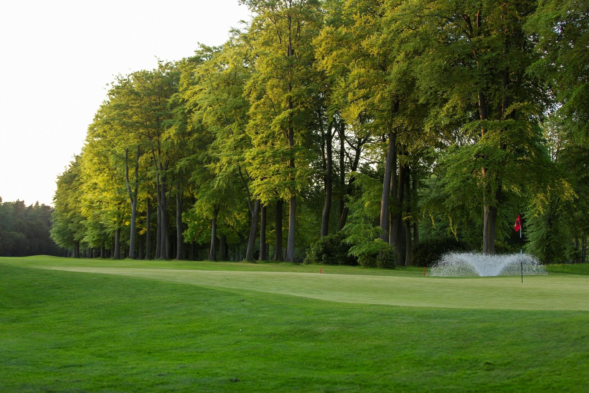 Hotel Forest Pines Hotel, & Golf Brigg