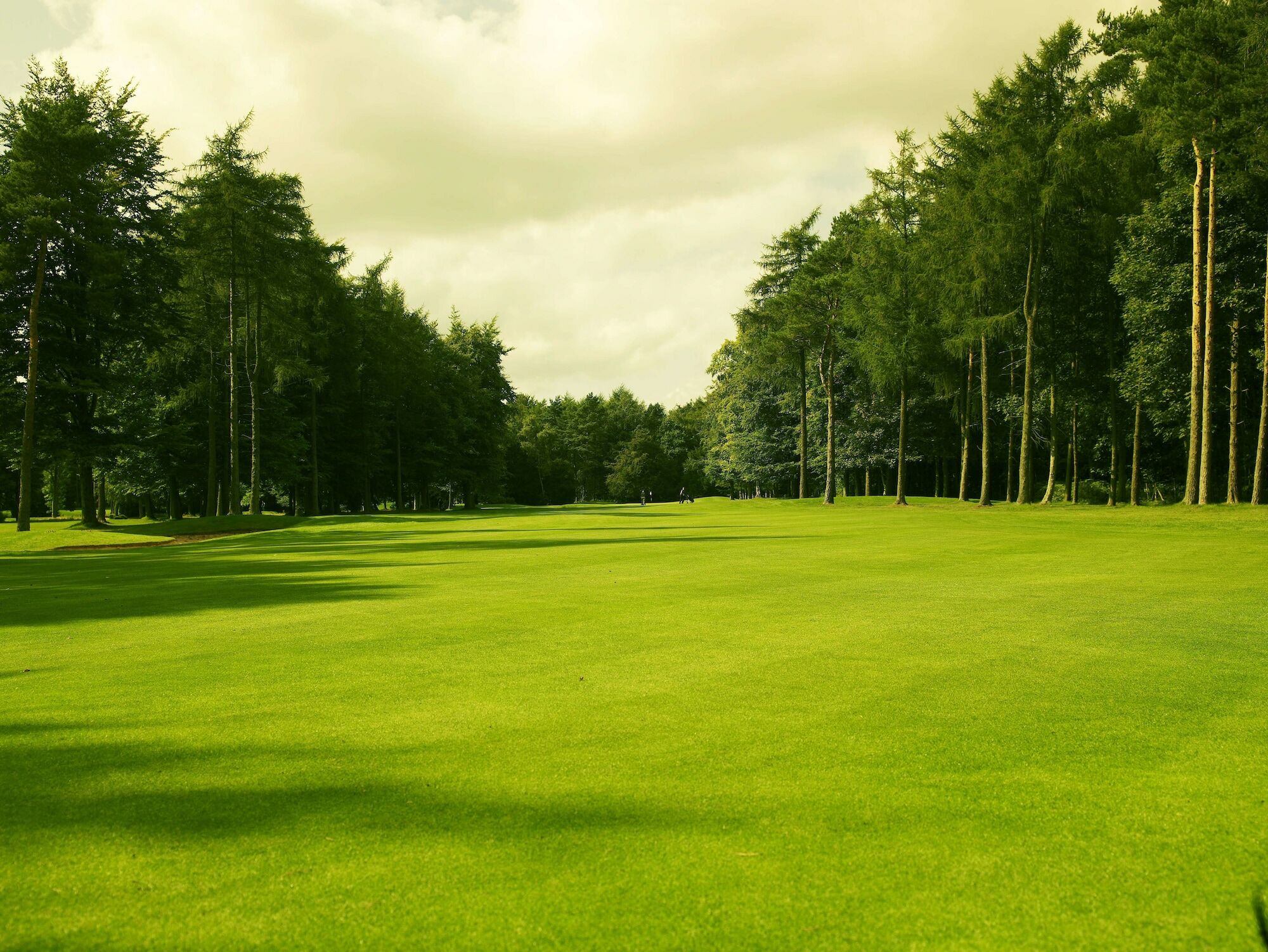Hotel Forest Pines Hotel, & Golf 4*